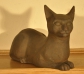 Thumb_DSC-0028-s