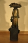 Thumb_DSC-0010-s